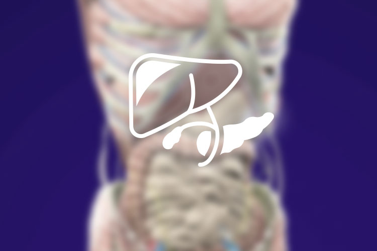 肝臓・胆のう・膵臓