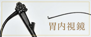 胃内視鏡